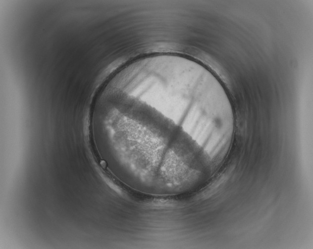 X0000111360437200907311016