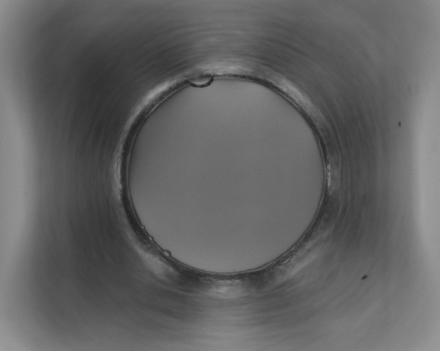 X0000111360438200907311016