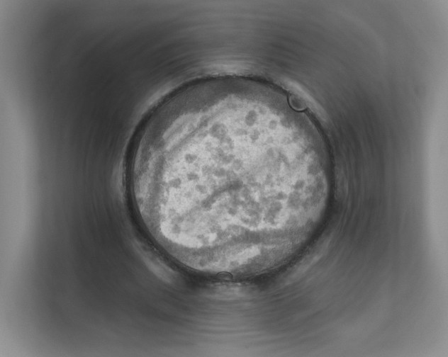 X0000111360439200907311016