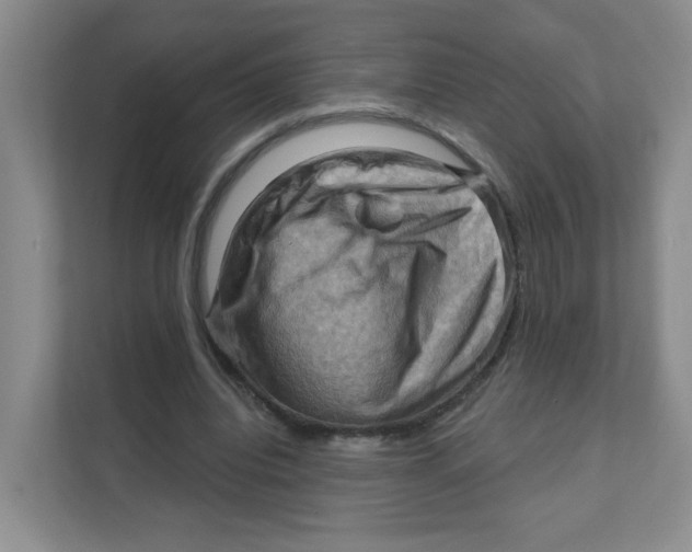 X0000111360440200907311016