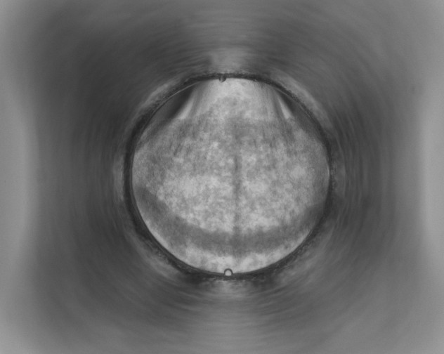 X0000111360442200907311016