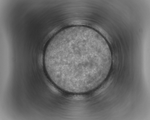 X0000111360445200907311016