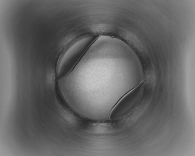 X0000111360448200907311016