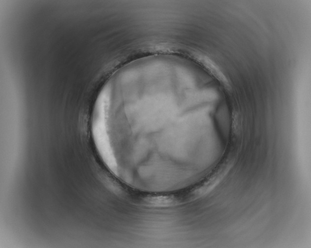 X0000111360449200907311016