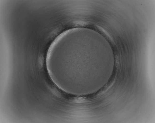 X0000111360451200907311016