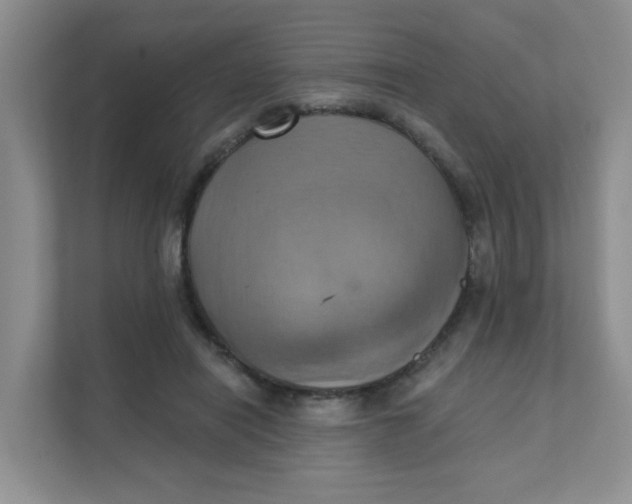 X0000111360454200907311016