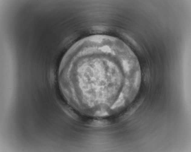 X0000111360455200907311016