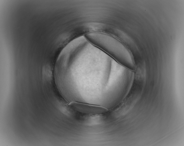 X0000111360456200907311016