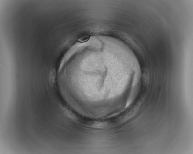 X0000111360458200907311016