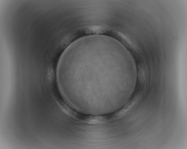 X0000111360459200907311016