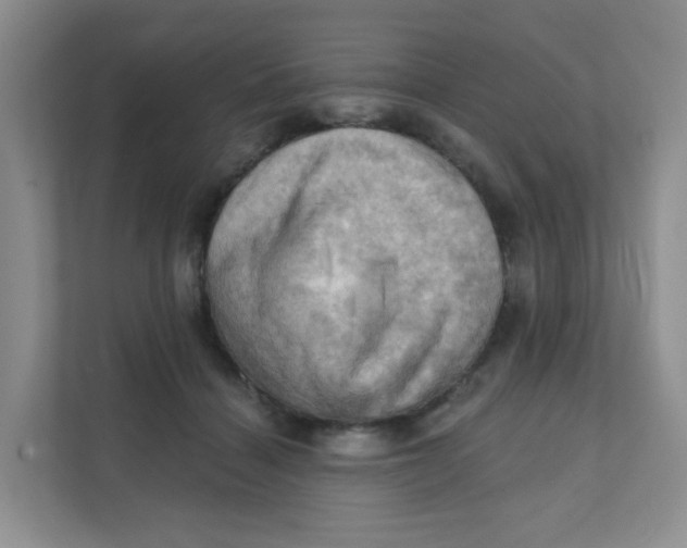 X0000111360460200907311016