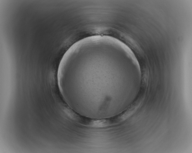 X0000111360461200907311016