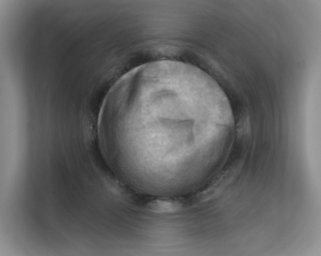 X0000111360464200907311016