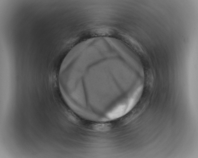 X0000111360465200907311016