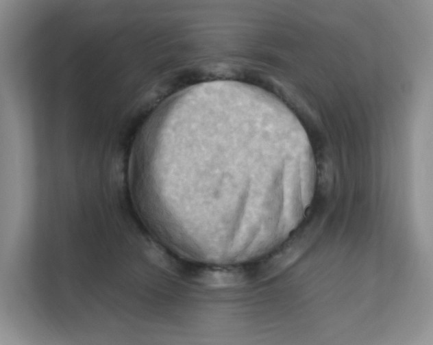 X0000111360466200907311016