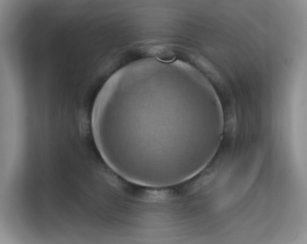 X0000111360469200907311016