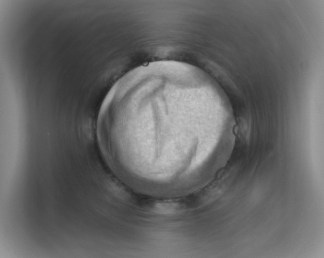 X0000111360470200907311016