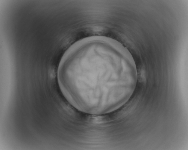 X0000111360472200907311016