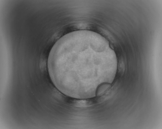 X0000111360473200907311016