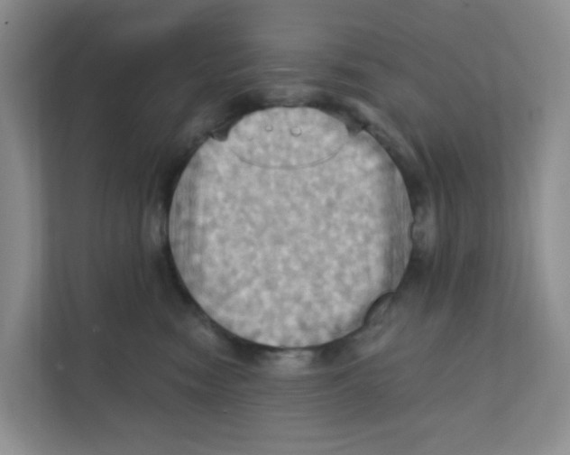 X0000111360474200907311016