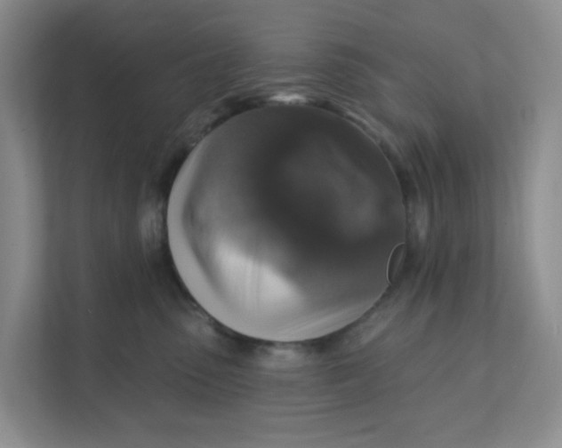 X0000111360475200907311016