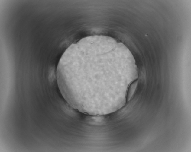 X0000111360478200907311016