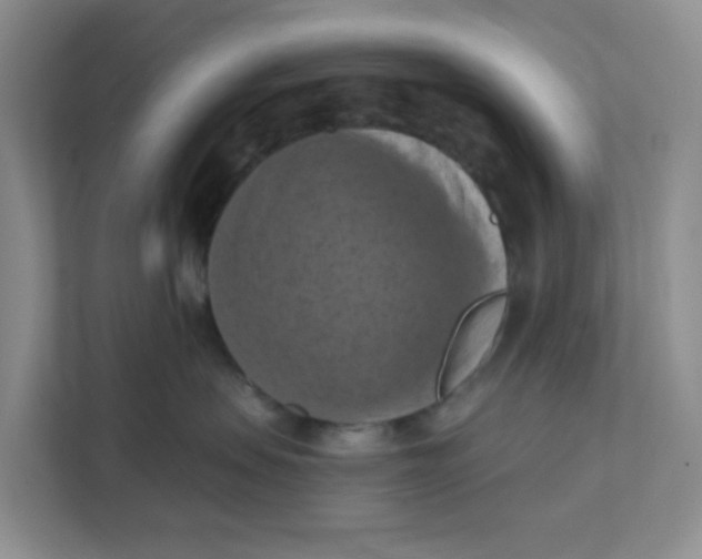 X0000111360479200907311016