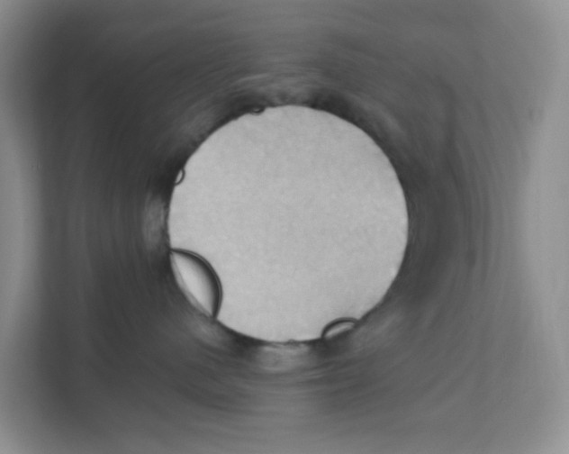 X0000111360480200907311016