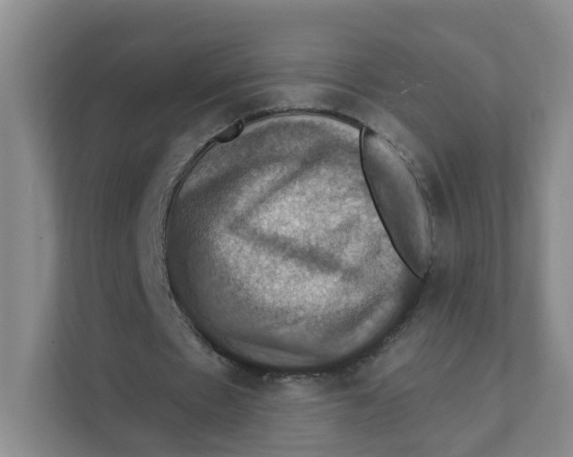 X0000111360481200907311016