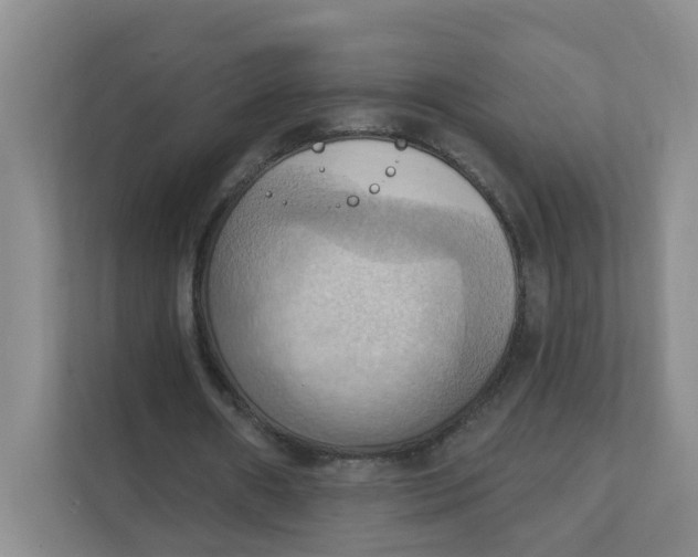 X0000111360482200907311016