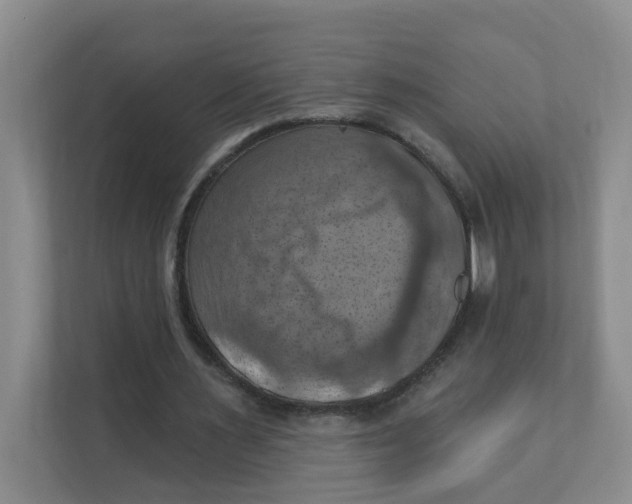 X0000111360483200907311016