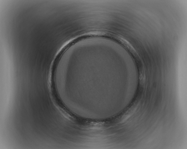 X0000111360484200907311016