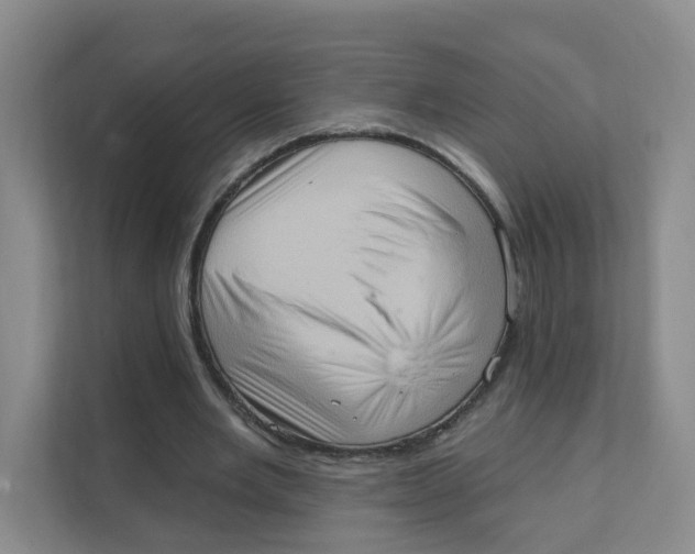 X0000111360485200907311016