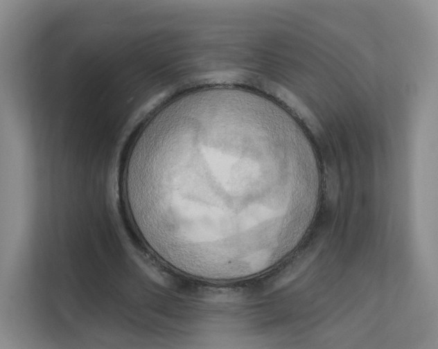 X0000111360486200907311016