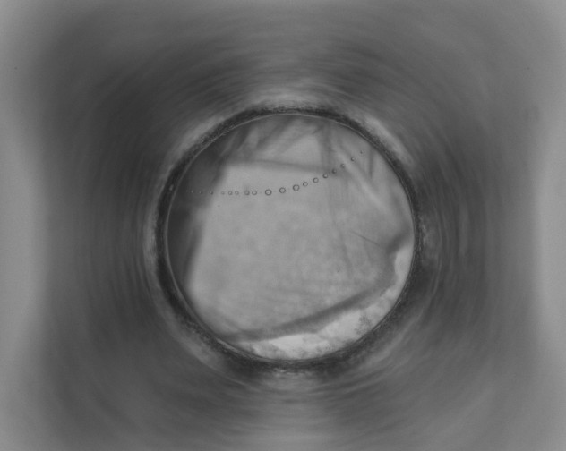 X0000111360487200907311016