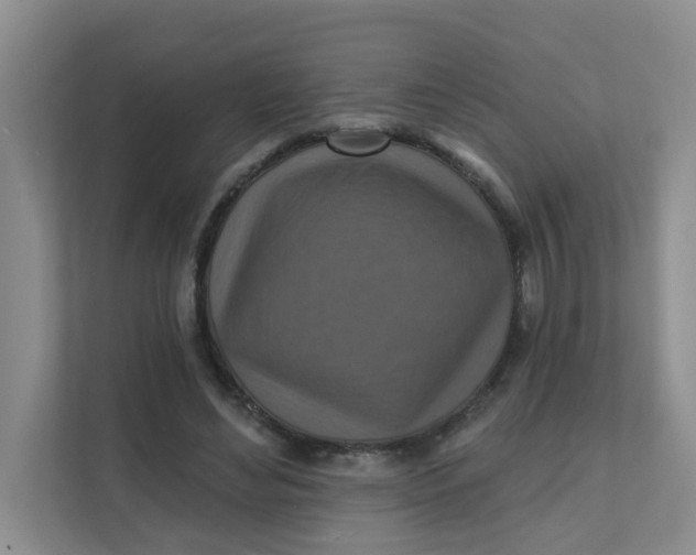 X0000111360492200907311016