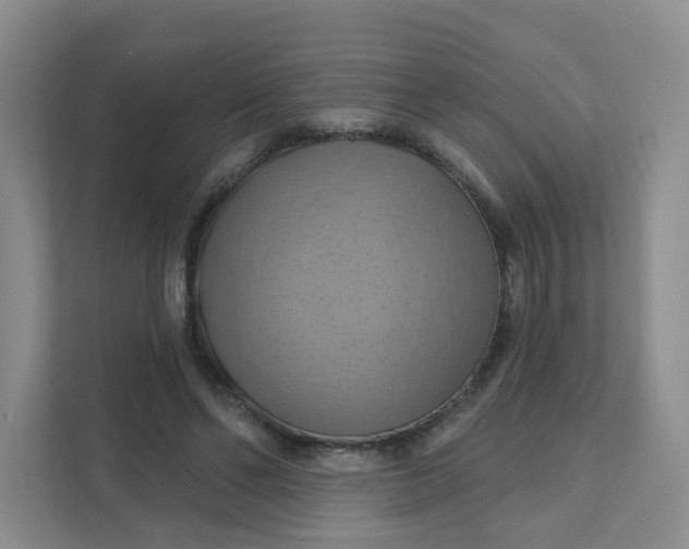 X0000111360494200907311016