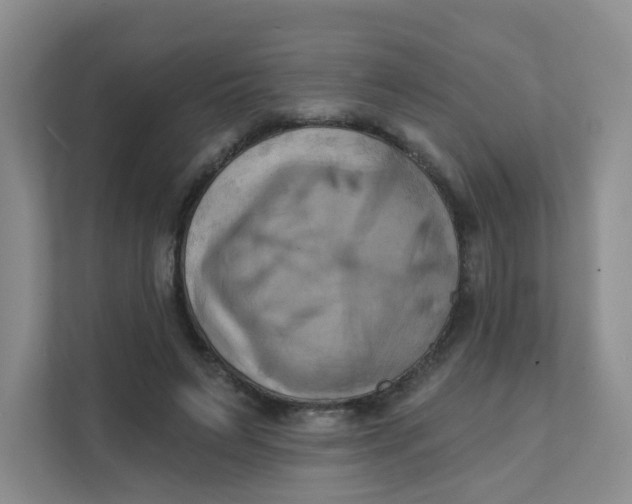 X0000111360495200907311016