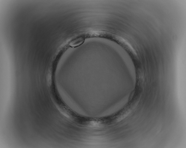 X0000111360496200907311016