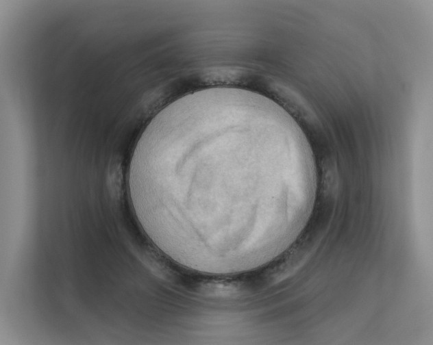 X0000111360498200907311015