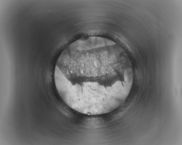 X0000111360499200907311015