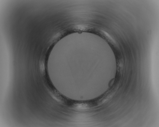 X0000111360500200907311015