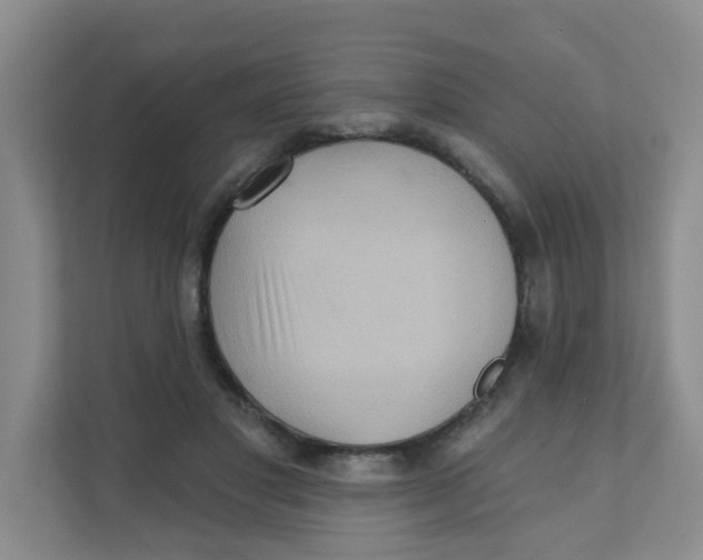 X0000111360501200907311015