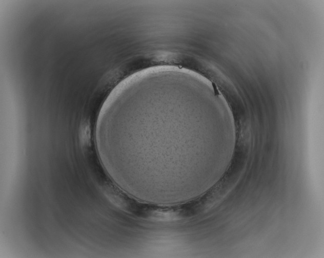 X0000111360502200907311015