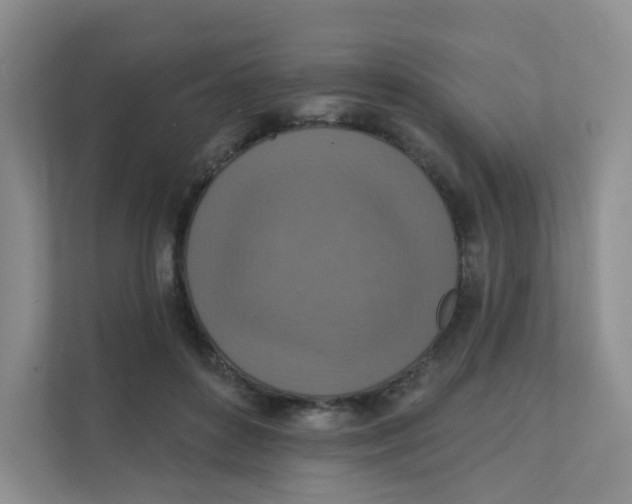 X0000111360504200907311015