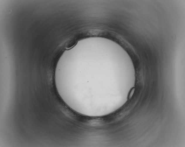 X0000111360505200907311015