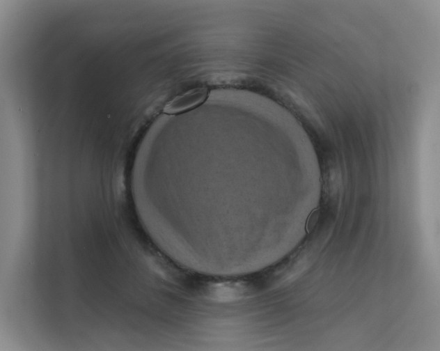 X0000111360508200907311015