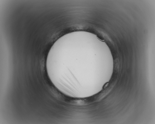 X0000111360509200907311015