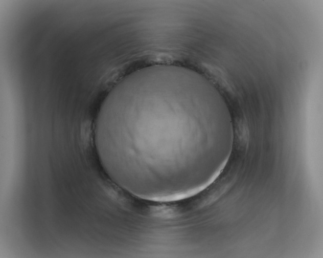 X0000111360511200907311015