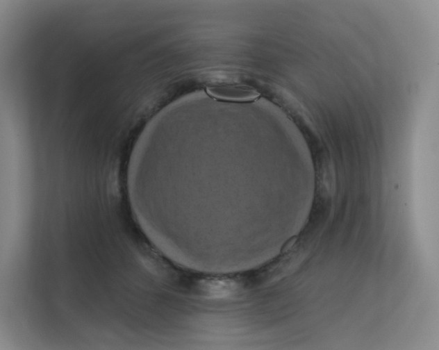 X0000111360512200907311015